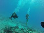 Hawaii Scuba divng 36