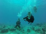 Hawaii Scuba divng 38