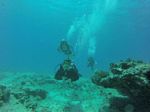 Hawaii Scuba divng 45