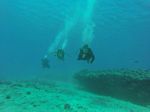 Hawaii Scuba divng 46