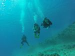 Hawaii Scuba divng 47