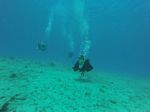 Hawaii Scuba divng 04