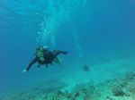 Hawaii Scuba divng 52