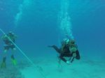 Hawaii Scuba divng 56