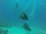 Hawaii Scuba divng 57