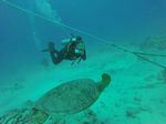 Hawaii Scuba divng 59