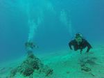 Hawaii Scuba divng 05