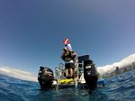 Hawaii Scuba divng 64