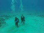 Hawaii Scuba divng 66