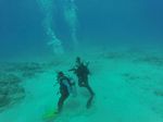 Hawaii Scuba divng 67