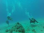 Hawaii Scuba divng 06