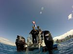 Hawaii Scuba divng 09