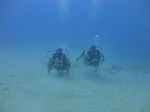 Hawaii Scuba divng 10