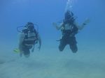 Hawaii Scuba divng 11