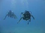 Hawaii Scuba divng 12