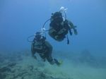 Hawaii Scuba divng 14