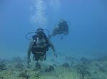 Hawaii Scuba divng 16