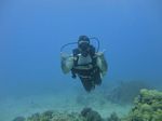 Hawaii Scuba divng 18