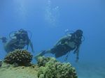 Hawaii Scuba divng 21