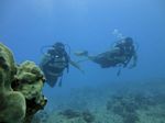 Hawaii Scuba divng 23