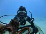 Hawaii Scuba divng 29