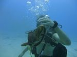 Hawaii Scuba divng 34