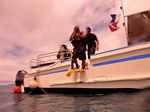 Hawaii Scuba divng 46