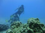 Hawaii Scuba divng 51