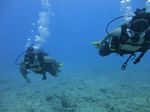 Hawaii Scuba divng 58