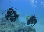 Hawaii Scuba divng 61