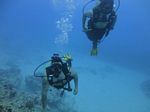 Hawaii Scuba divng 64