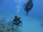 Hawaii Scuba divng 64