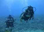 Hawaii Scuba divng 68