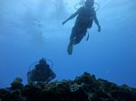 Hawaii Scuba divng 69