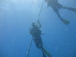 Hawaii Scuba divng 06