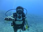 Hawaii Scuba divng 71