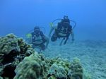 Hawaii Scuba divng 72