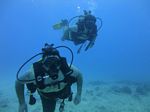 Hawaii Scuba divng 75