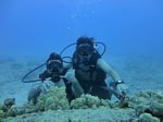 Hawaii Scuba divng 76