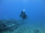 Hawaii Scuba divng 77