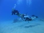 Honolulu Scuba 17