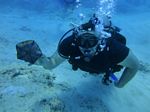 Honolulu Scuba 51