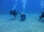 Honolulu Scuba 56