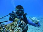 Hawaii Scuba divng 12