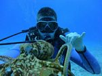 Hawaii Scuba divng 13
