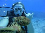 Hawaii Scuba divng 15