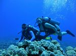 Hawaii Scuba divng 25