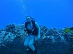 Hawaii Scuba divng 30