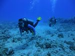 Hawaii Scuba divng 33