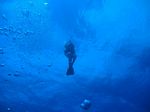 Hawaii Scuba divng 43